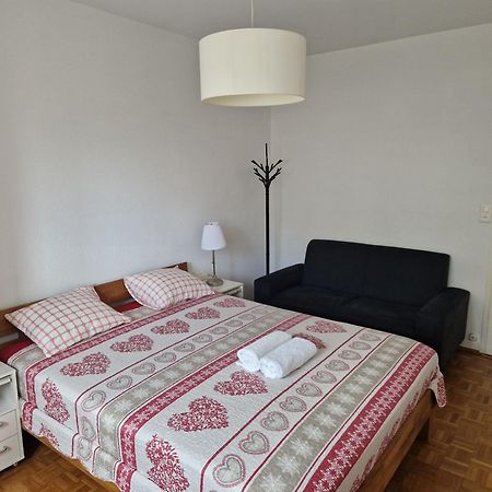 Room In Shared Apartment Genève Buitenkant foto
