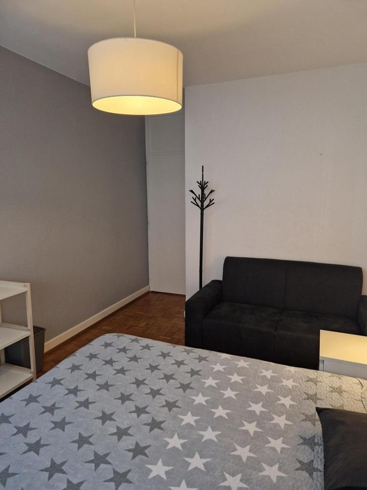 Room In Shared Apartment Genève Buitenkant foto